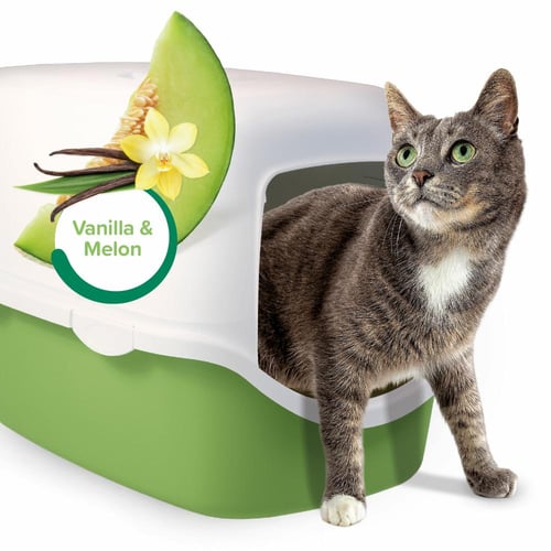 بيفار معطر رمل فانيلا والشمام