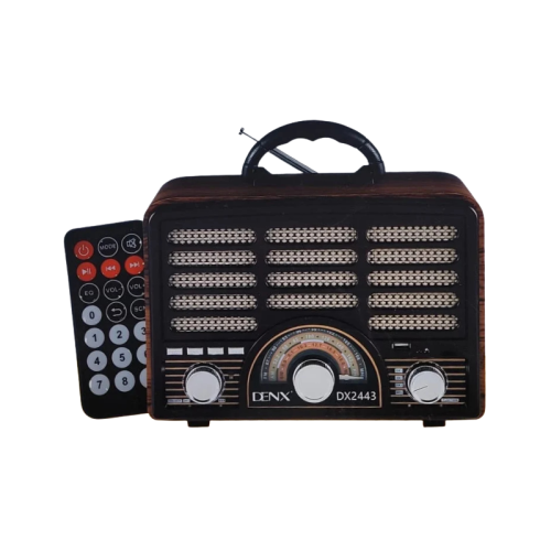 مكبر صوت HiFi مع راديو وتحكم DENX م/ DX2443