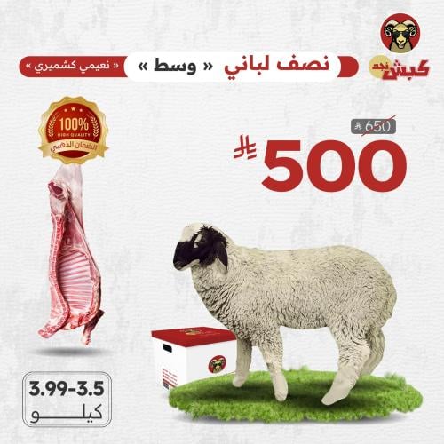 نصف نعيمي كشميري لباني (وسط)