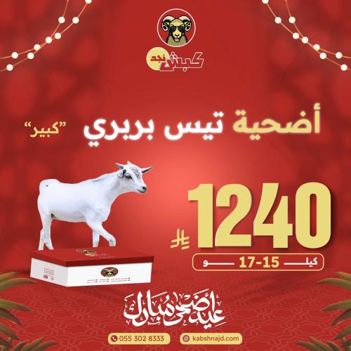 أضحية تيس بربري كبير
