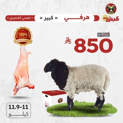 نعيمي كشميري هرفي (كبير)
