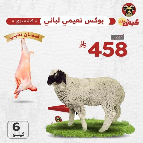 نعيمي كشميري لباني