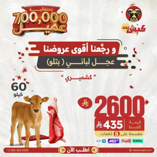 عجل كشميري لباني (60 كيلو)