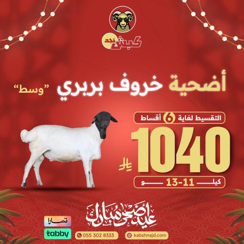أضحية خروف بربري وسط
