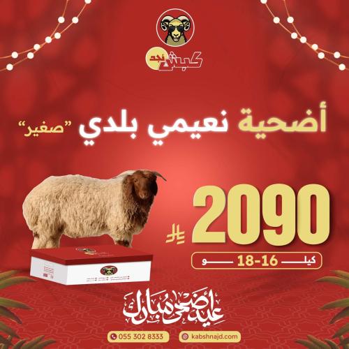 أضحية نعيمي بلدي صغير
