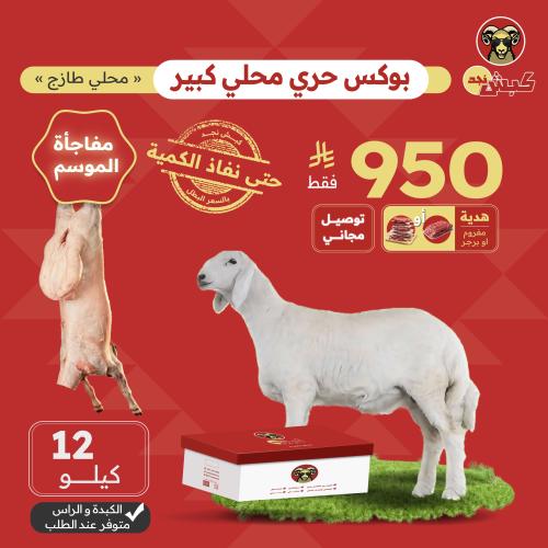 بوكس حري محلي كبير