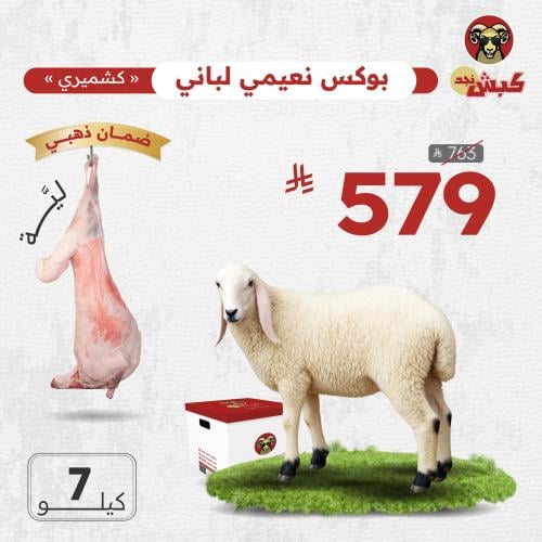 نعيمي كشميري لباني (ليّة) - وسط