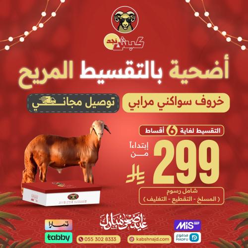أضحية خروف سواكني مرابي بالتقسيط