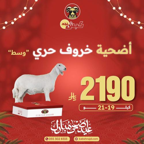أضحية خروف حري وسط