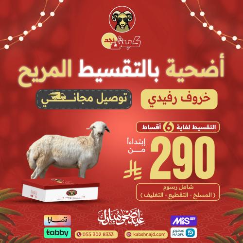 أضحية خروف رفيدي بالتقسيط