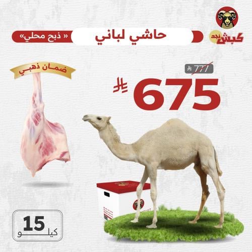 حاشي صغير طازج (محلي) 15 كيلو