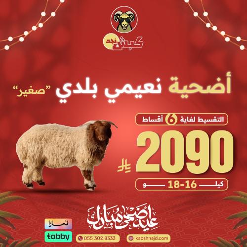 أضحية نعيمي بلدي صغير