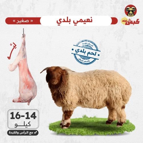 نعيمي بلدي صغير