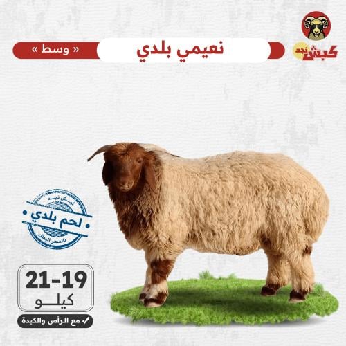 نعيمي بلدي وسط
