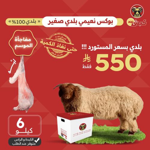 بوكس نعيمي بلدي صغير