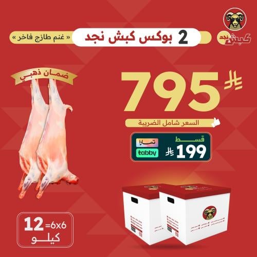 بوكسين كبش نجد 6ك+6ك