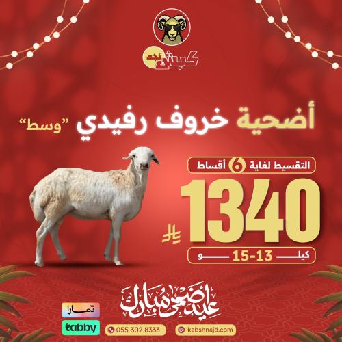أضحية خروف رفيدي وسط