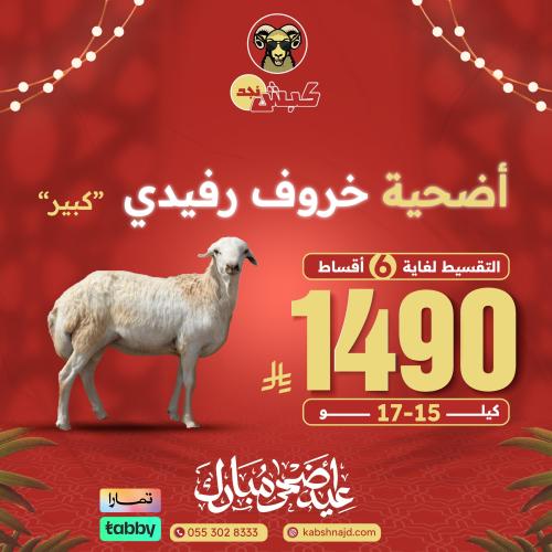 أضحية خروف رفيدي كبير