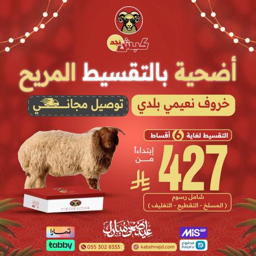 أضحية خروف نعيمي بلدي بالتقسيط