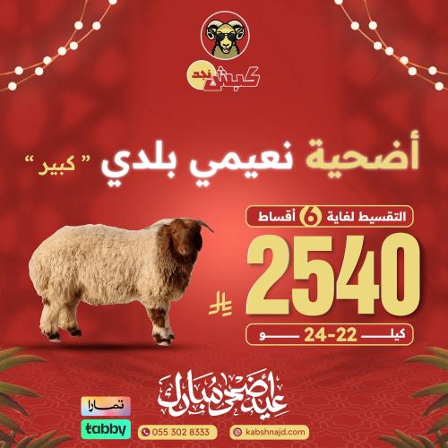 أضحية نعيمي بلدي كبير