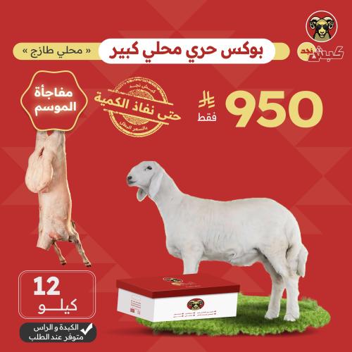 بوكس حري محلي كبير