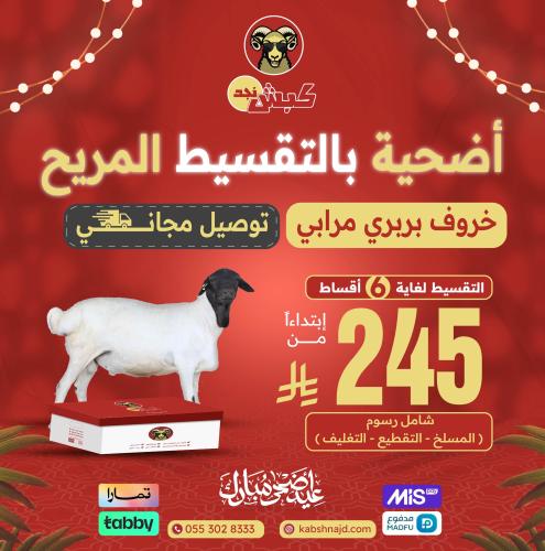 أضحية خروف بربري مرابي بالتقسيط