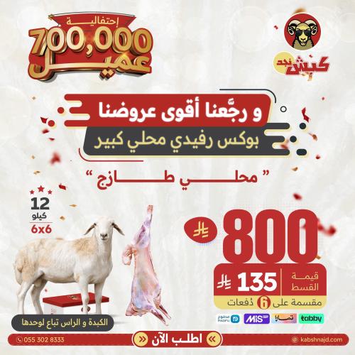 بوكس رفيدي محلي كبير