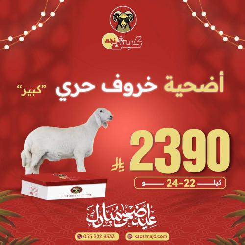 أضحية خروف حري كبير
