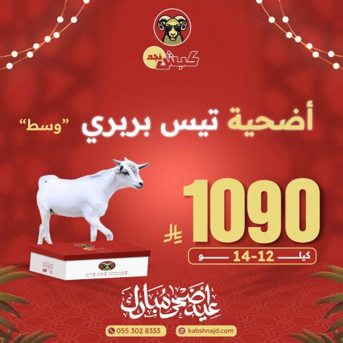 أضحية تيس بربري وسط