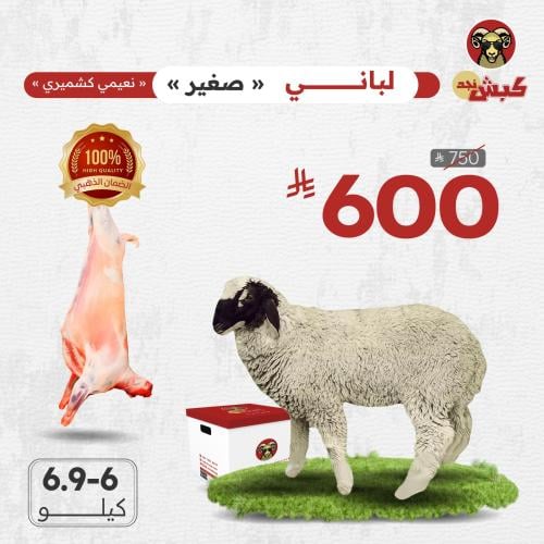 نعيمي كشميري لباني