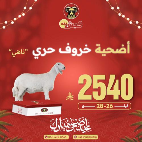أضحية خروف حري ناهي