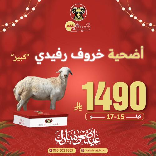 أضحية خروف رفيدي كبير