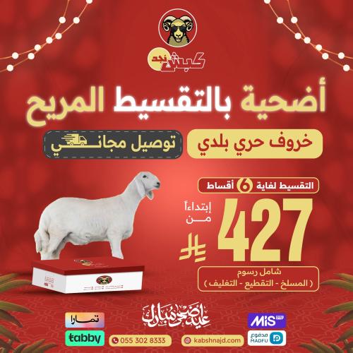 أضحية خروف حري بلدي بالتقسيط