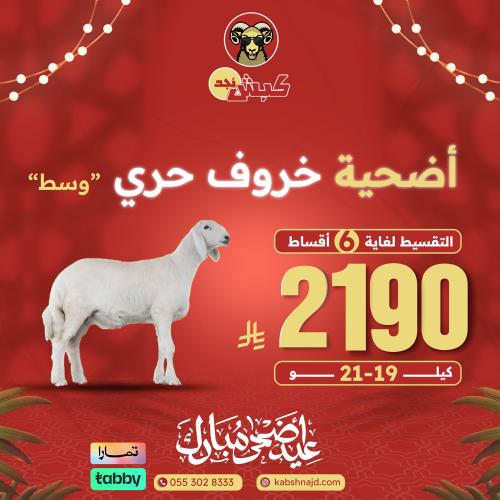 أضحية خروف حري وسط