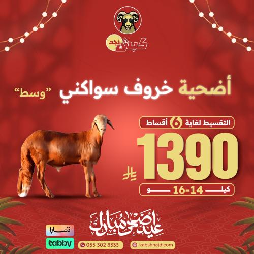 أضحية خروف سواكني وسط