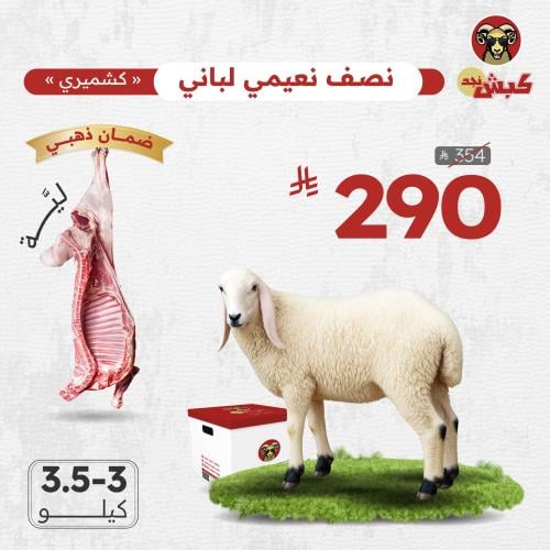 نصف نعيمي كشميري لباني (ليّة)