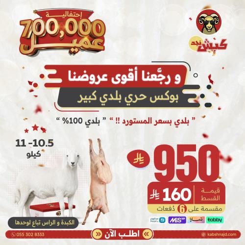 بوكس حري محلي كبير