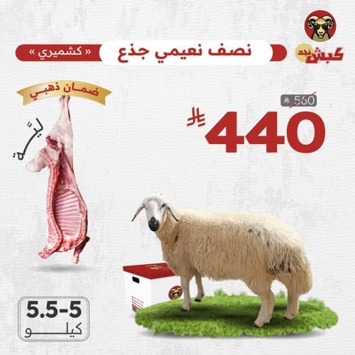 نص نعيمي كشميري جذع (ليّة)
