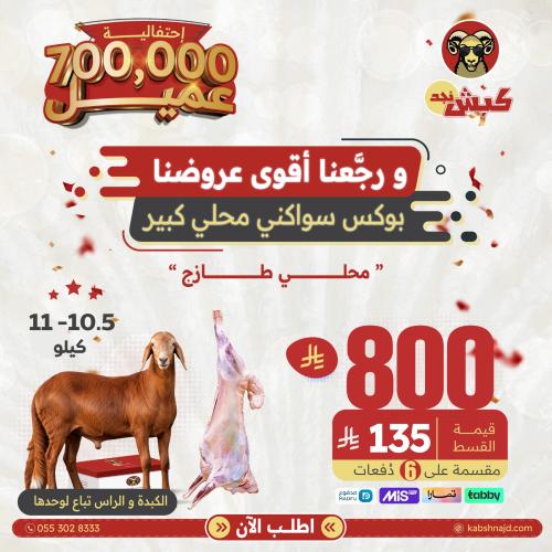 بوكس سواكني محلي كبير