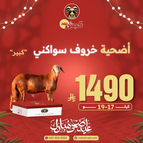 أضحية خروف سواكني كبير