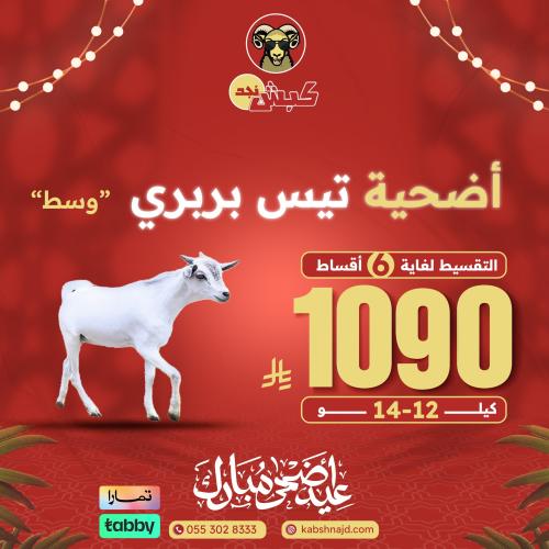 أضحية تيس بربري وسط