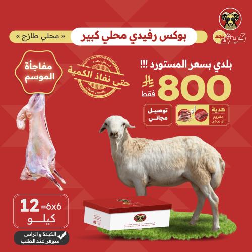 بوكس رفيدي محلي كبير