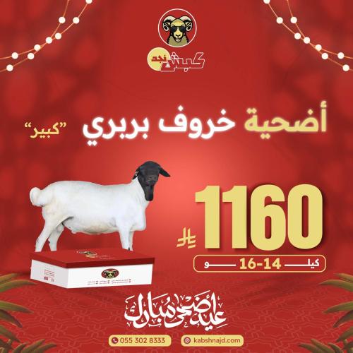أضحية خروف بربري كبير