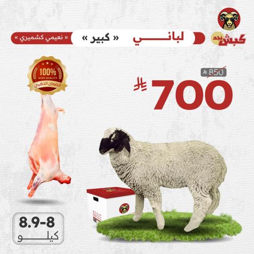 نعيمي كشميري لباني - كبير