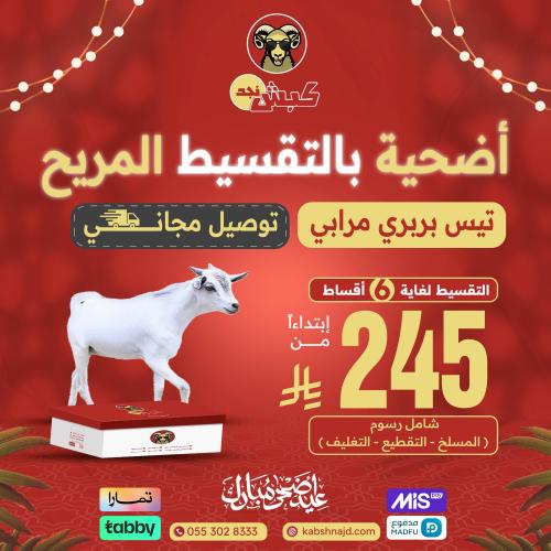 أضحية تيس بربري مرابي بالتقسيط