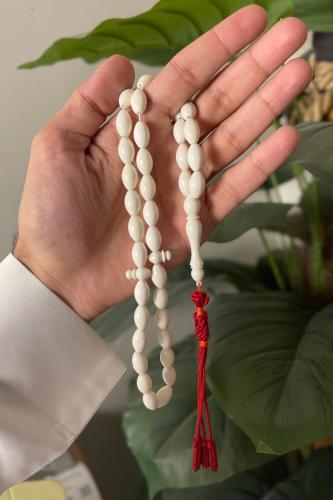 مسباح عظم الجمل A2