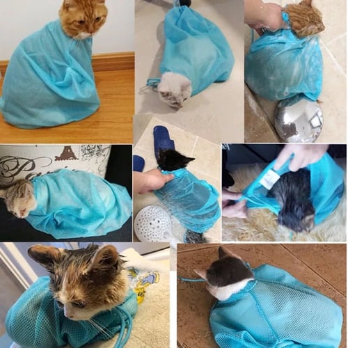 لبس قطه للاستحمام او قص الاضافر