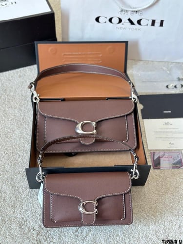 كوتش تابي - بني