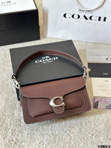 كوتش تابي - بني