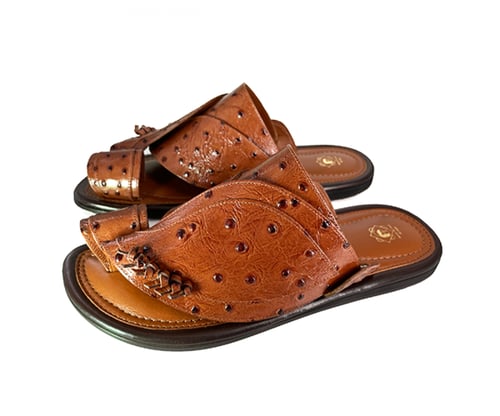 يوميه 523 حذاء هافان